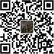 QR कोड